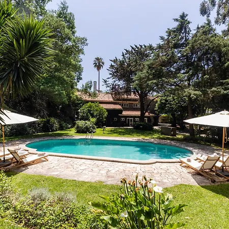 Hideaway Paradise By Cadenzalux Cascaes